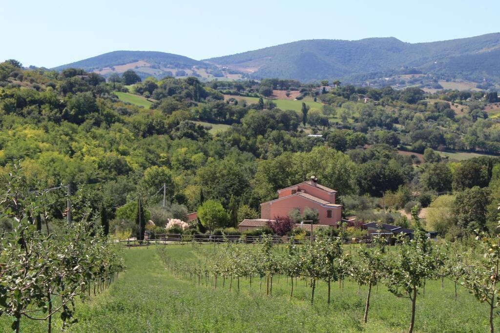 Casa Kikenda, Viaggio Nella Natura Treia Екстер'єр фото