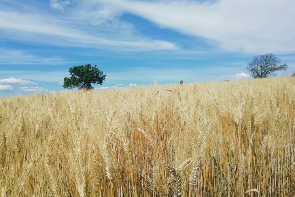 Casa Kikenda, Viaggio Nella Natura Treia Екстер'єр фото