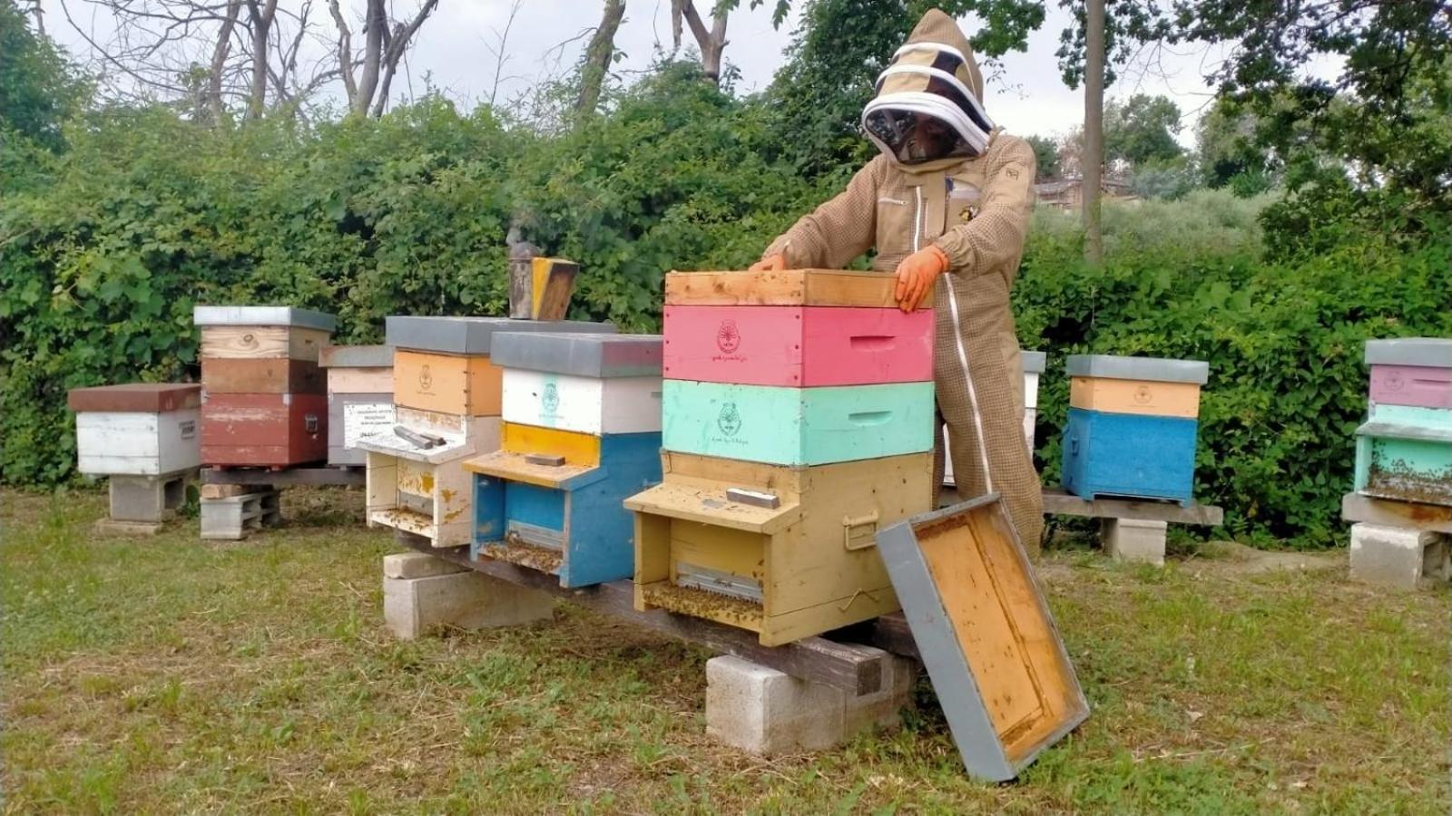 Casa Kikenda, Viaggio Nella Natura Treia Екстер'єр фото