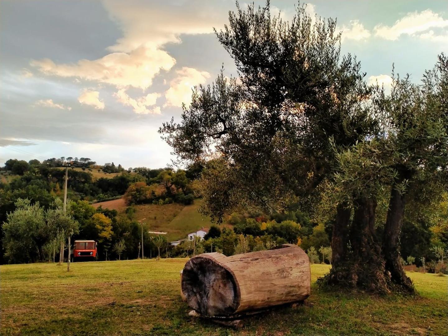 Casa Kikenda, Viaggio Nella Natura Treia Екстер'єр фото